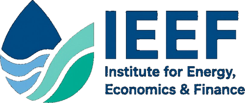 Logo IEEF
